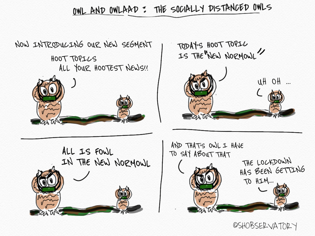 Socially distanced owls